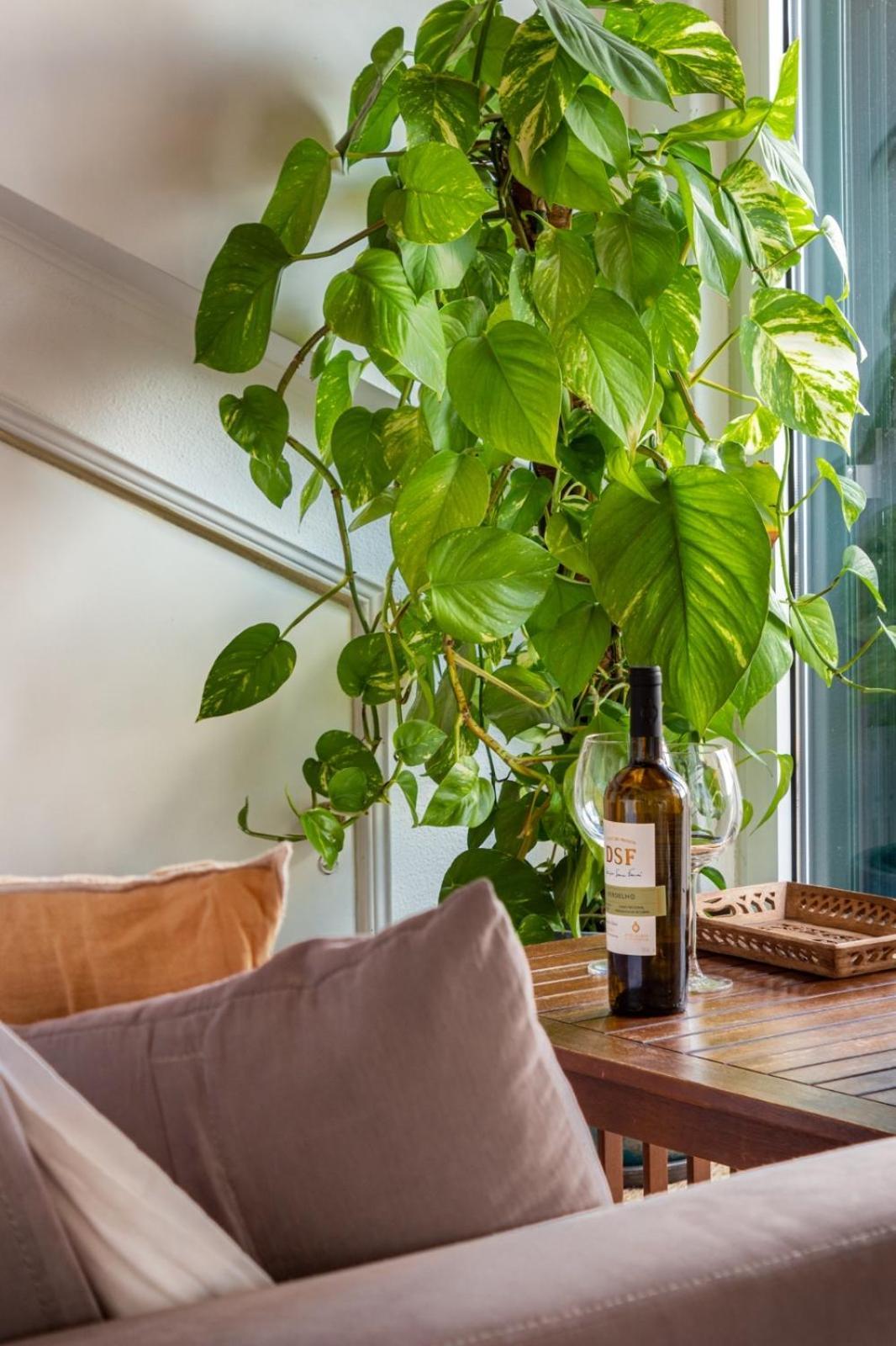 Casa Da Adoa B&B Portinho da Arrábida Cameră foto